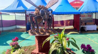 खैरहनी महोत्सव