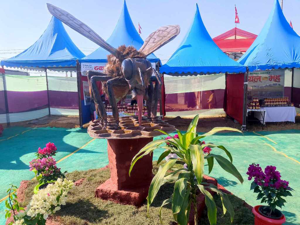 खैरहनी महोत्सव