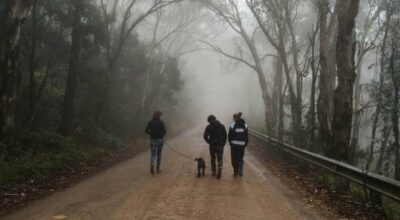 मर्निङ वाक