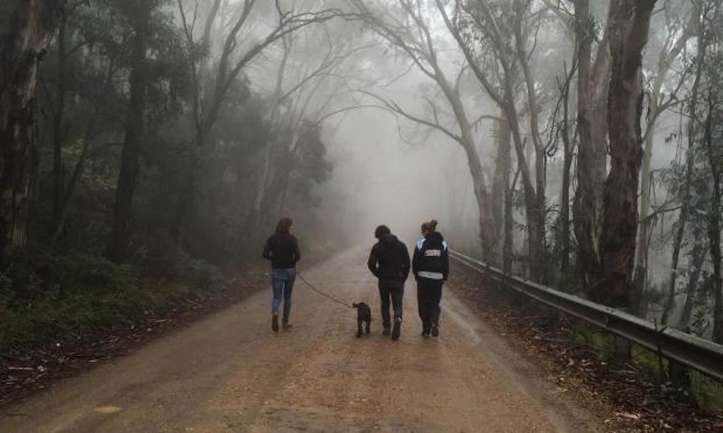 मर्निङ वाक