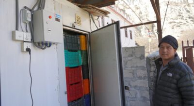 मुस्ताङमा स्याउ