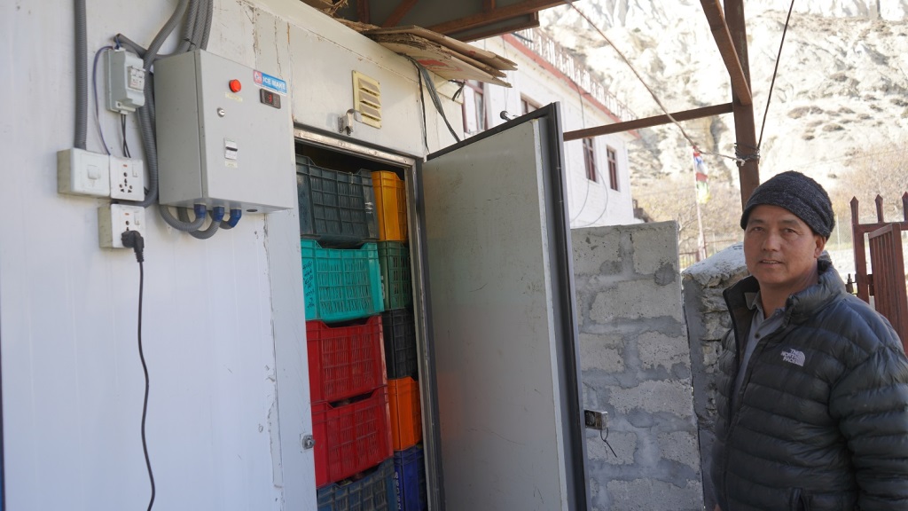 मुस्ताङमा स्याउ