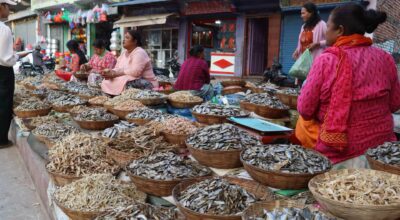 सिद्रा व्यापार