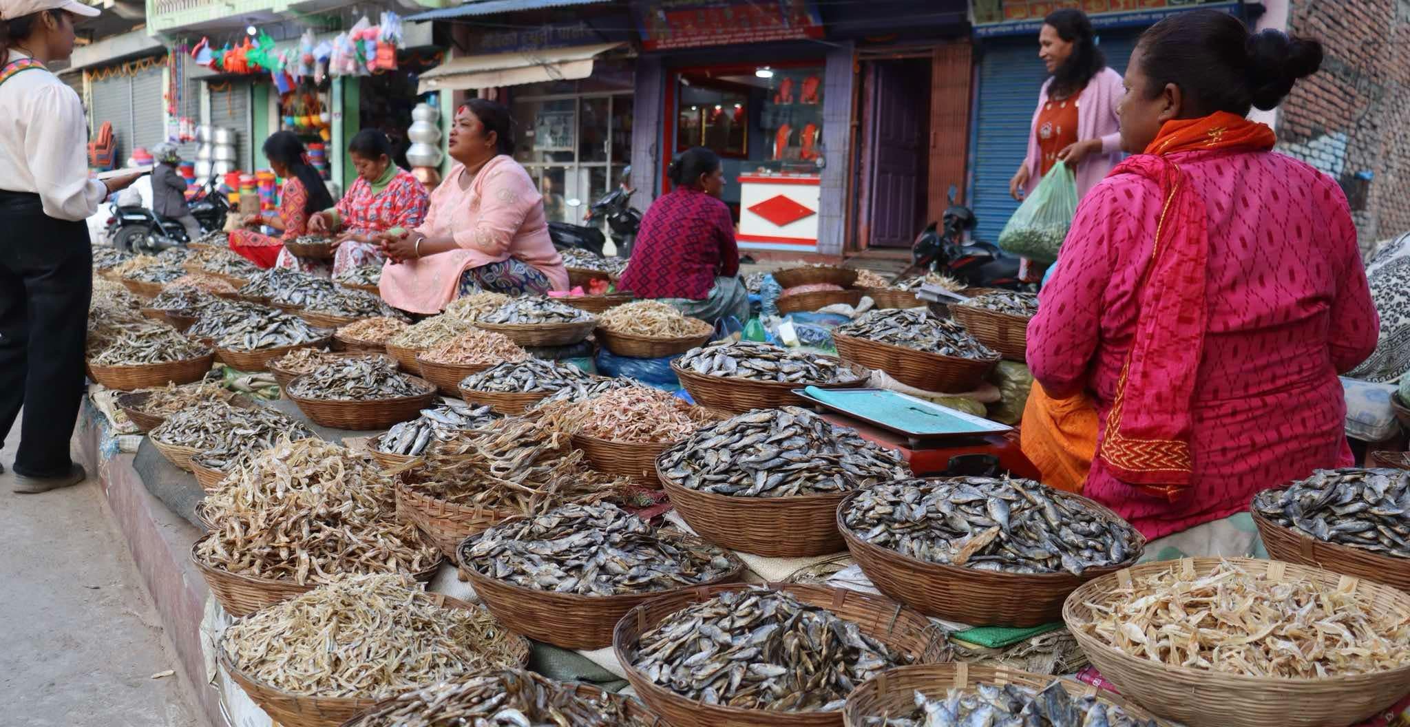 सिद्रा व्यापार