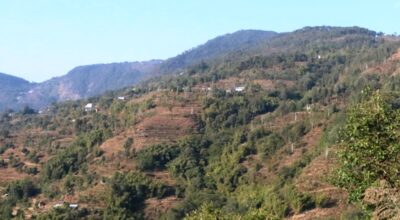 खोटाङ बुइपा