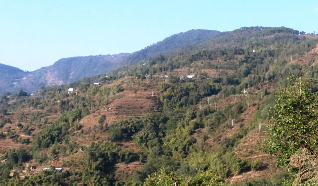 खोटाङ बुइपा