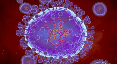 एचएमपीभी भाइरस