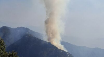 काभ्रेको महाभारत जङ्गल