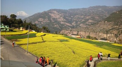 म्याग्दीको रत्नेचौर