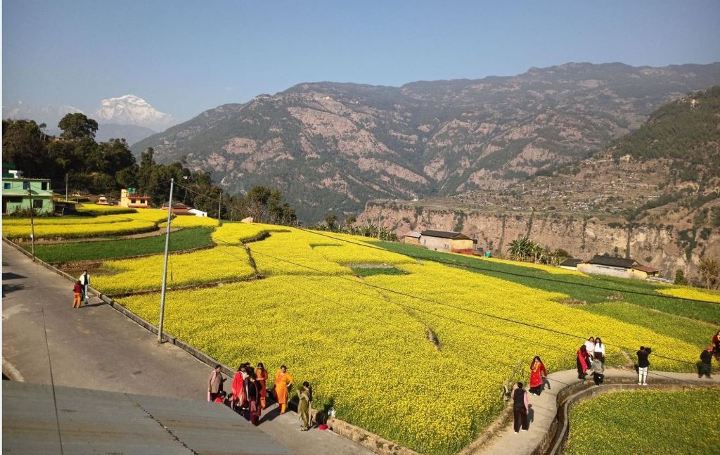 म्याग्दीको रत्नेचौर