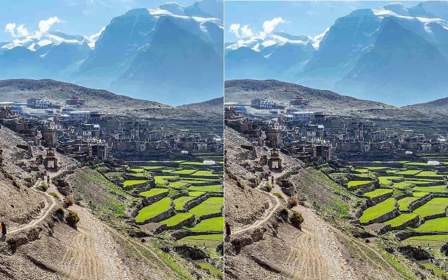 नार्पाभूमिका बस्ती