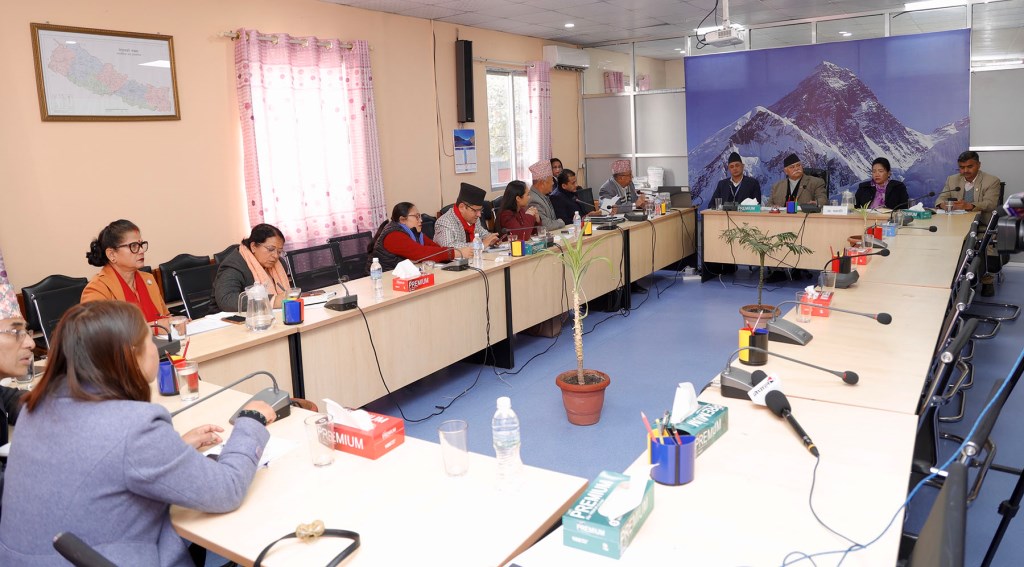 पूर्वाधार विकास समिति