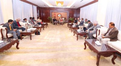 सत्तापक्षीय दल