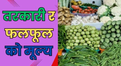 तरकारी र फलफूलको मूल्य