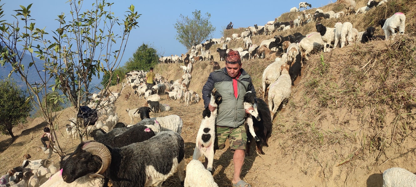 लमजुङ गुरुङ