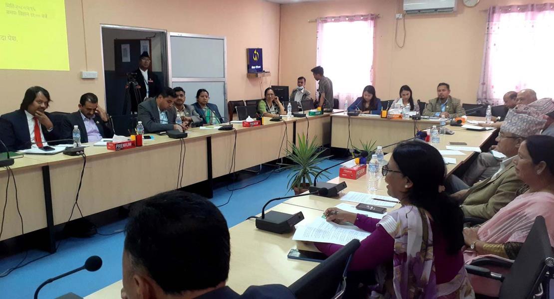 पूर्वाधार विकास समितिको बैठक