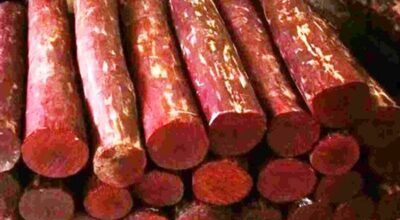 रक्तचन्दन