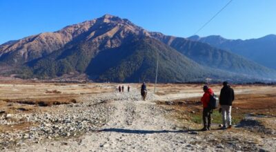 ढोरपाटन