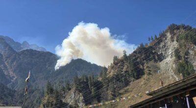 तिमाङको जङ्गलमा लागेको आगो