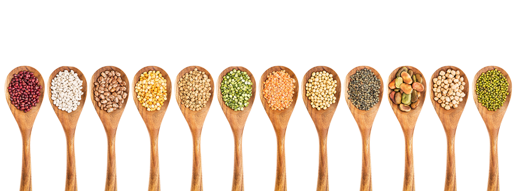 अन्तर्राष्ट्रिय दाल दिवस