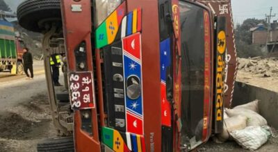 चितवनमा मिनीट्रक दुर्घटना हुँदा १९ वटा चौपाया मरे