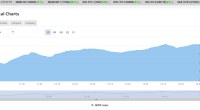 शेयर बजार