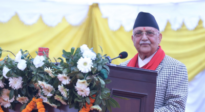 देश विकास