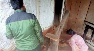 ढिकीजाँतो