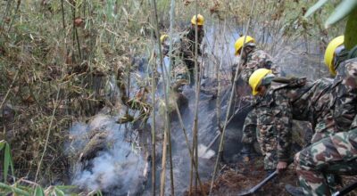 मनाङको डढेलो