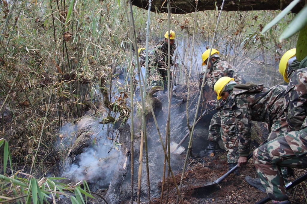 मनाङको डढेलो