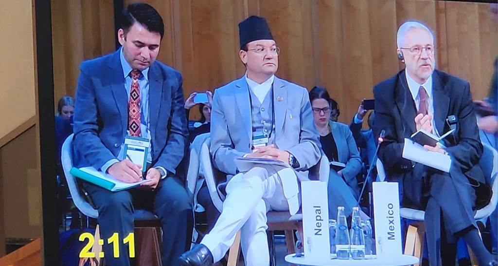 ऐनबहादुर शाही ठकुरी