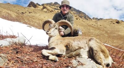 ढोरपाटन