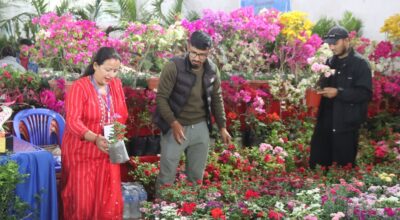 फूल मेला