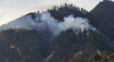 गोरखनाथ सामुदायिक वन