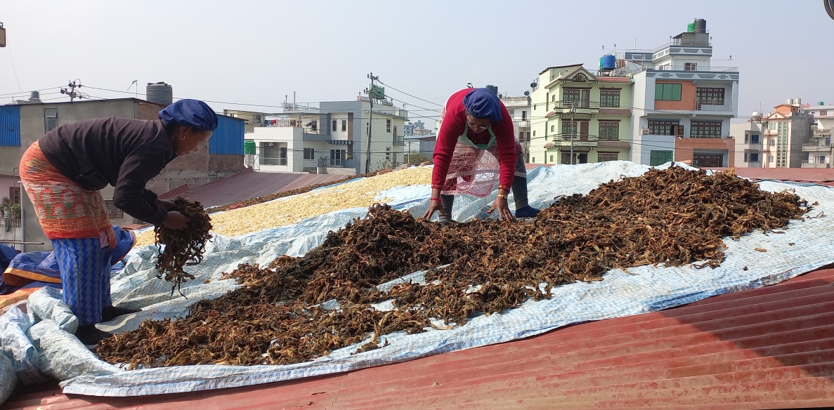 बिस्कुट उद्योगको छानामा गुन्द्रुकको ‘बिस्कुन’