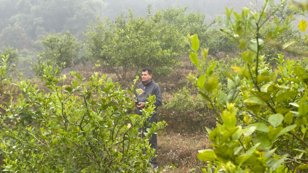 कृष्णराज पण्डित