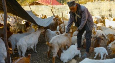 लिलबहादुुर पुन