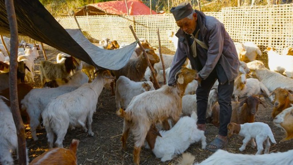 लिलबहादुुर पुन