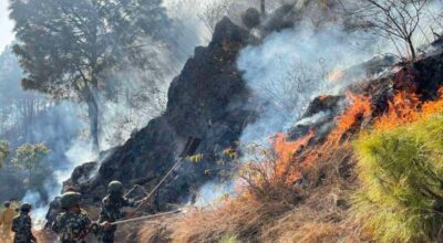 पाल्पा डढेलो