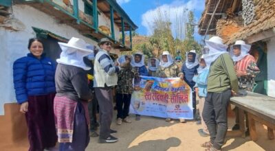 व्यावसायिक मौरीपालन