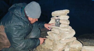 दुर्लभ जीव हिउँ चितुवाको अनुगमन गरिँदै