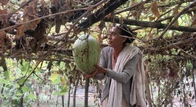 लौका बेचर मासिक ४० हजार रुपैयाँ आम्दानी