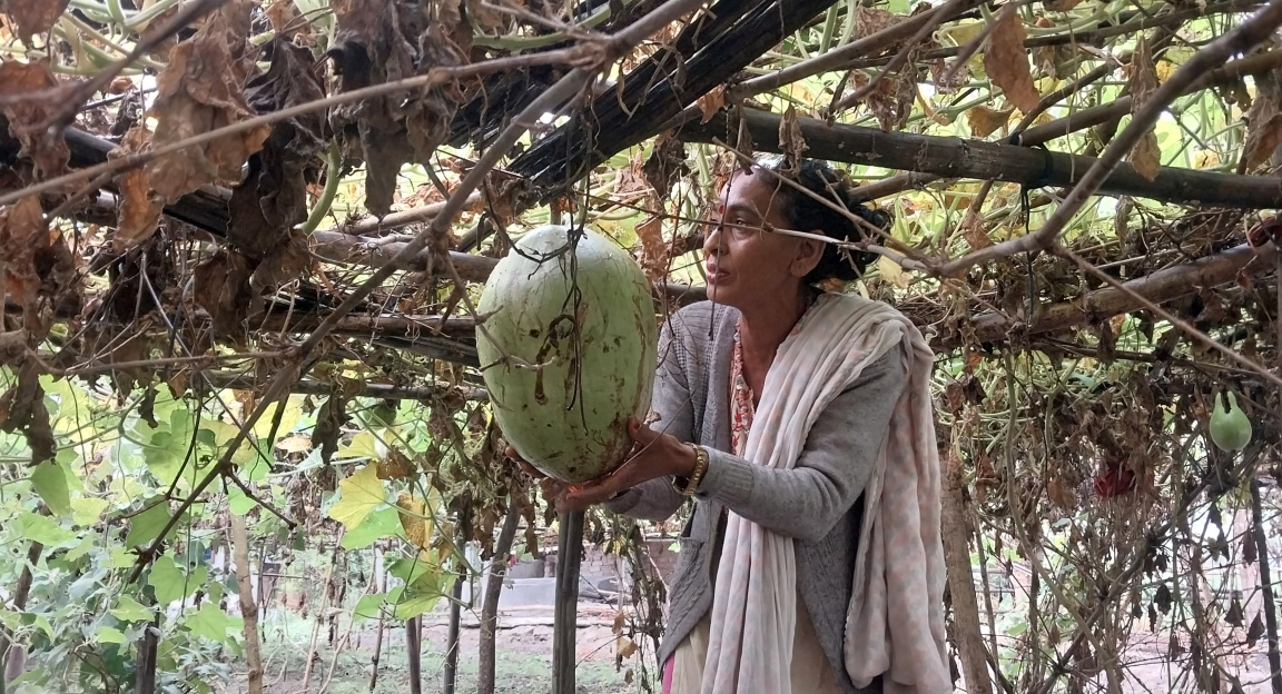 लौका बेचर मासिक ४० हजार रुपैयाँ आम्दानी