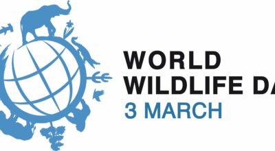 विश्व वन्यजन्तु दिवस
