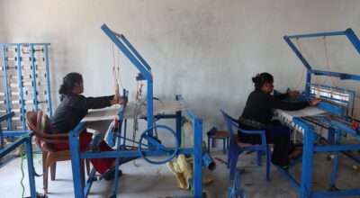 अल्लो प्रशोधन