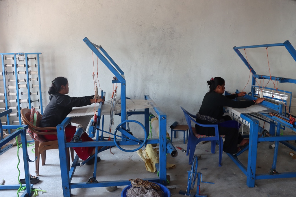 अल्लो प्रशोधन