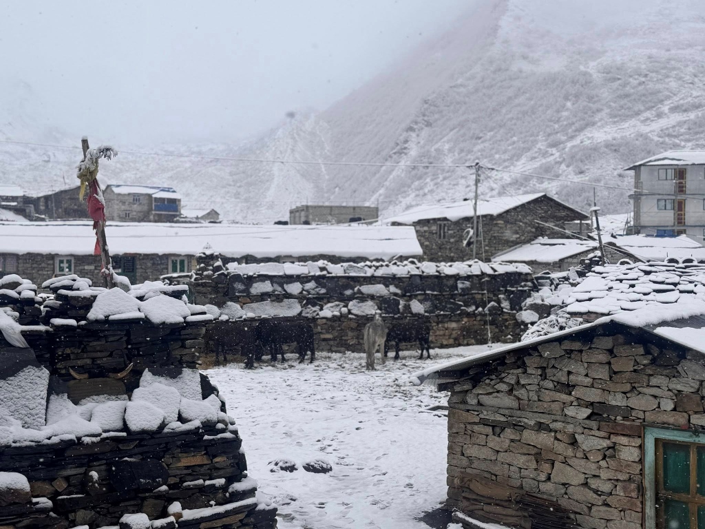 उत्तरी गोरखाको साम्दो क्षेत्रमा भारी हिमपात