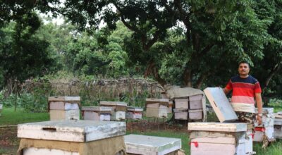 मौरीपालन