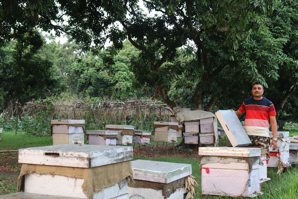 मौरीपालन