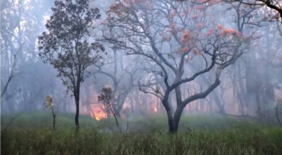 डढेलो लाग्न नदिन उच्च सतर्कता